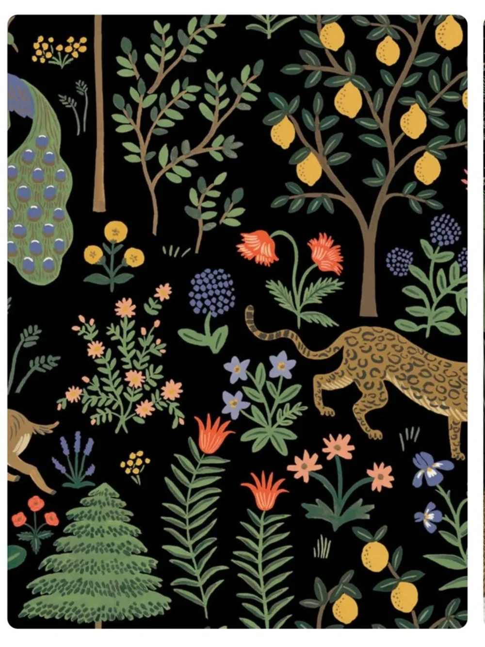 Rifle Paper Co and York, Peel & Stick Menagerie and Botanical Wallpaper